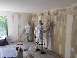 Best Residential Mold Inspection & Testing  in Ilion, NY